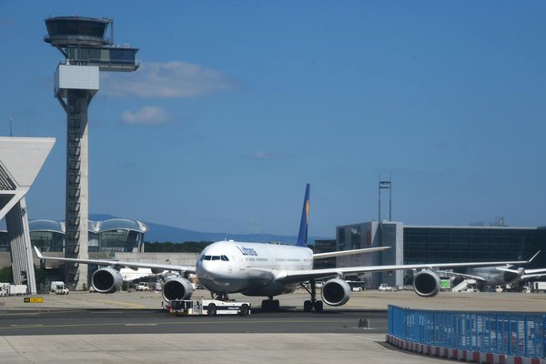 Où observer les baleines à bosse en Islande?